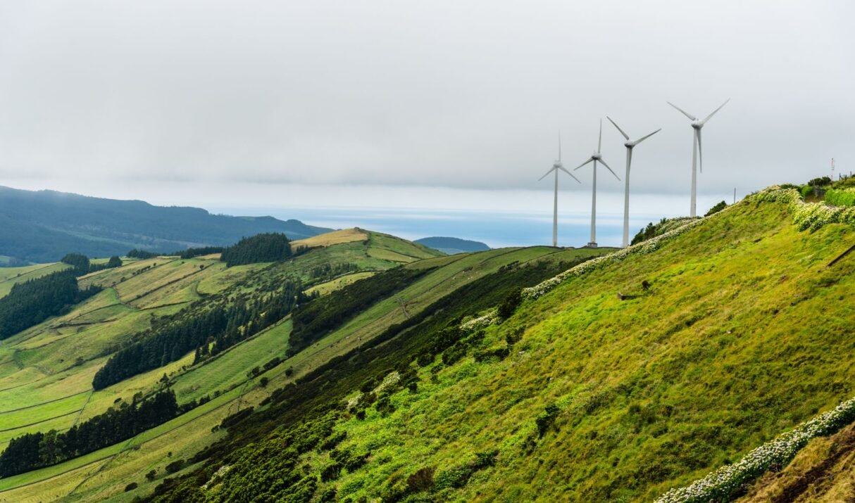 Exploring Bioenergy: A Cleaner Way to Power the Future